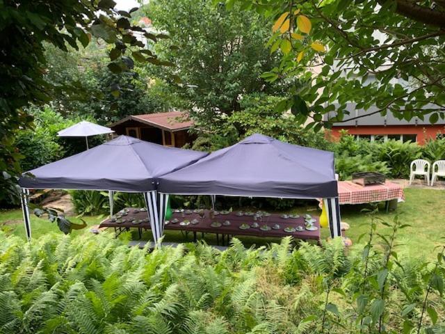 Hotel Sonnenhof Bad Wildbad Εξωτερικό φωτογραφία